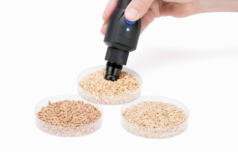 Tablet probe scanning grain samples