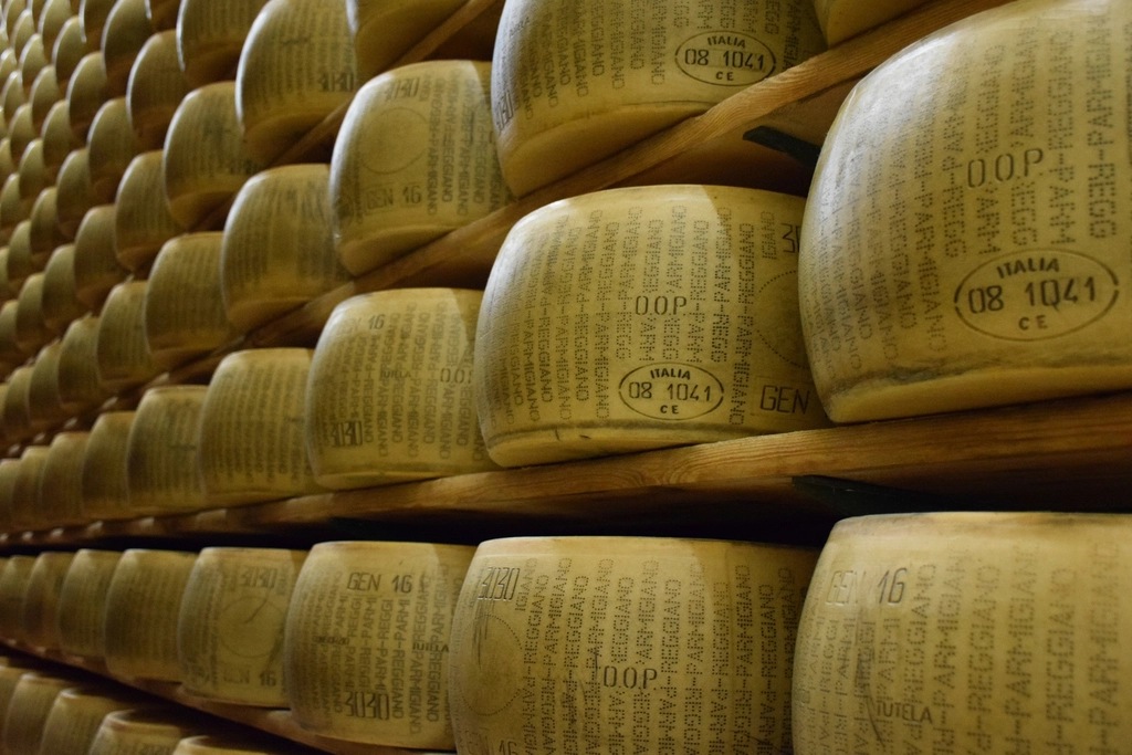 Parmesan cheese manufacturing