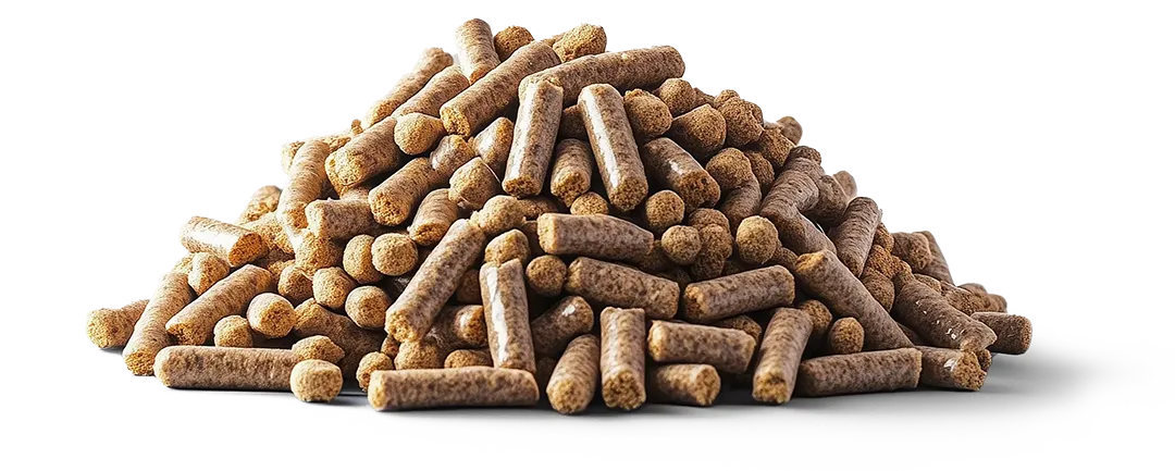 Compound feed analysed with NIR